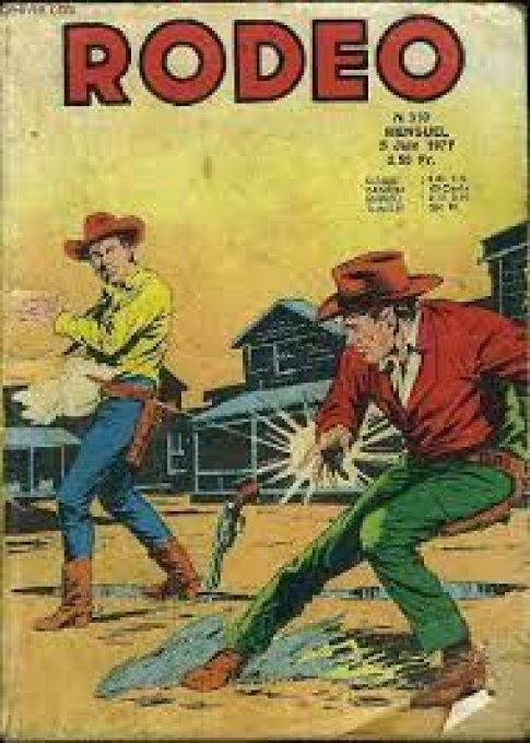 RODEO N° 310