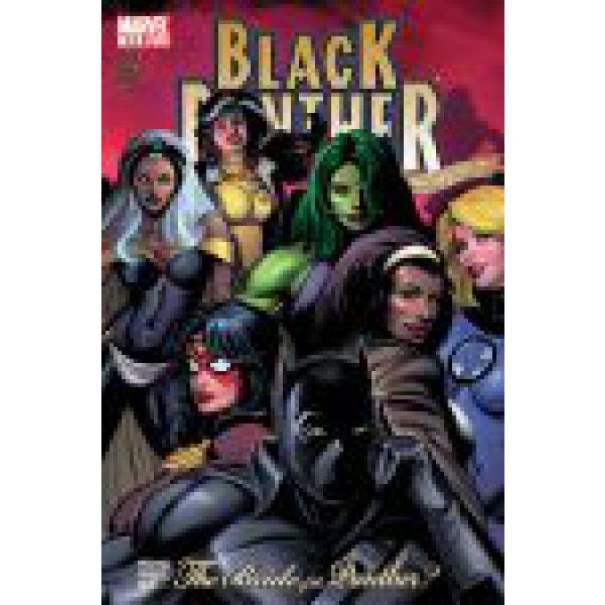 BLACK PANTHER # 14